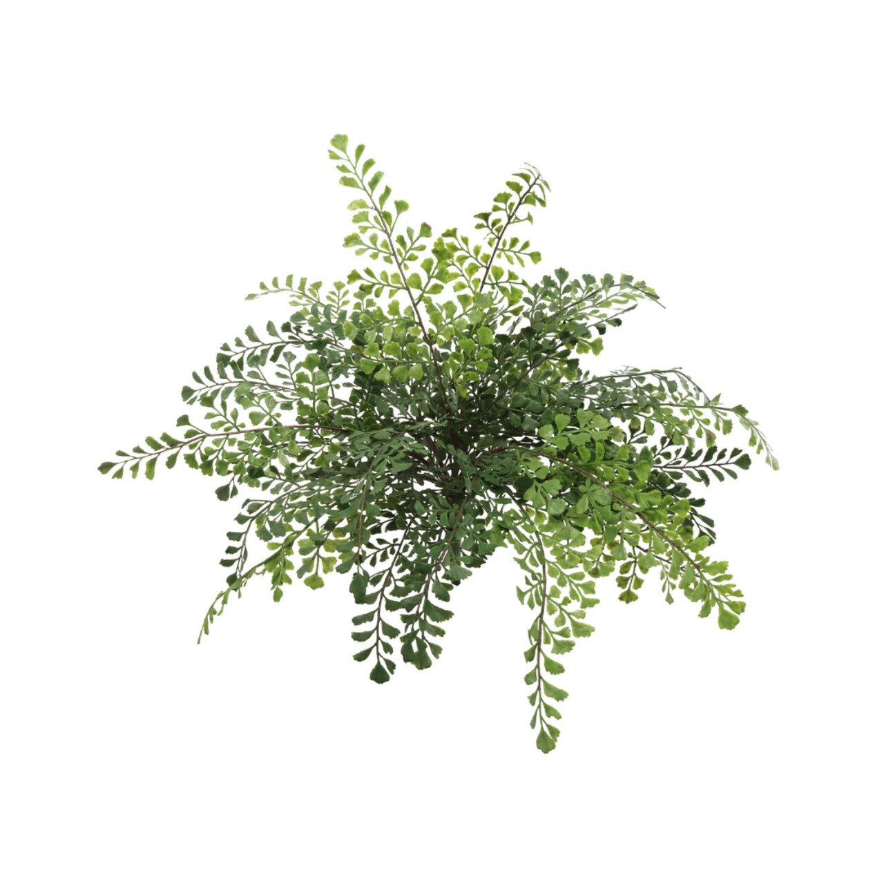 12-Pack: 15" Maidenhair Fern Bush with Lifelike Fronds by Floral Home®